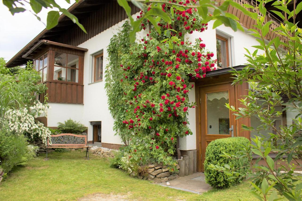 Ferienwohnungen Irene Konstandin Bischofsmais Exteriör bild